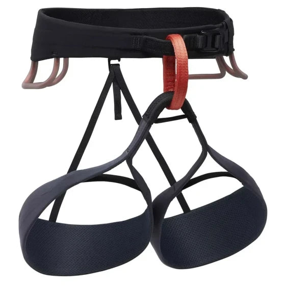 Black Diamond Solution Harness (L / Carbon)
