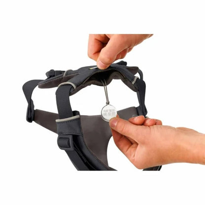 RUFFWEAR Front Range Dog Harness (M / Basalt Gray) — view 6