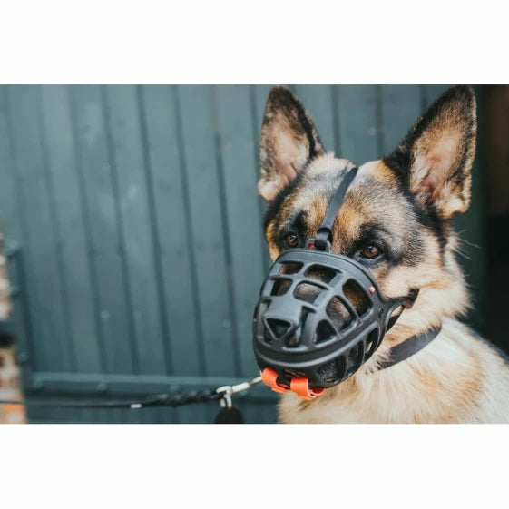 Gloria Muzzle Gloria Albury Black 5 (Black) — view 12