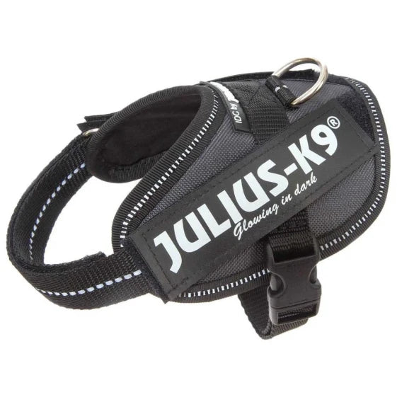 JULIUS K-9 IDC Power Dog Harness — M-0, Anthracite