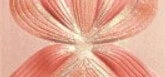Sisley Orchid with Lily Makeup Base (15 g / Corail) — view 2