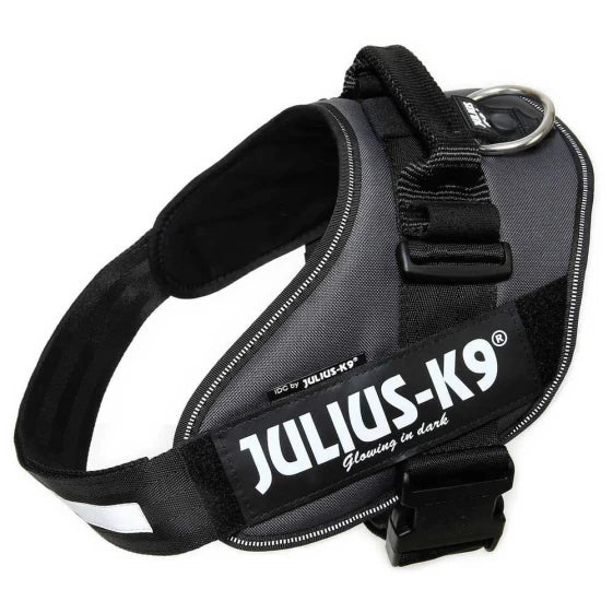 JULIUS K-9 IDC Power Dog Harness — view 4