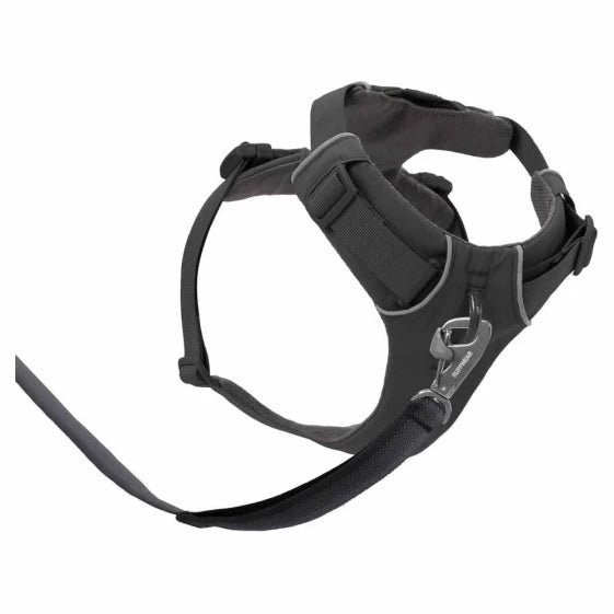 RUFFWEAR Front Range Dog Harness (M / Basalt Gray) — view 5