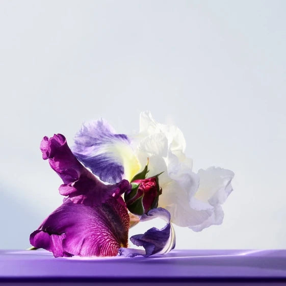 Bvlgari Omnia Amethyst Eau de Toilette (50 ml) — view 9